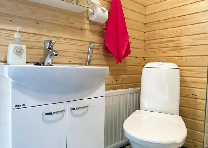 Ukonloma Vasa * 罗瓦涅米